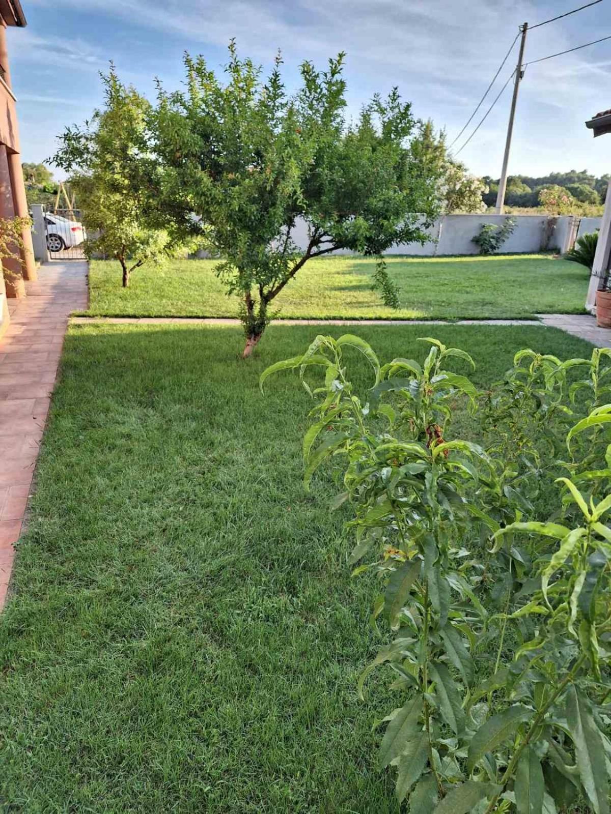 Apartments Ines Πούλα Εξωτερικό φωτογραφία